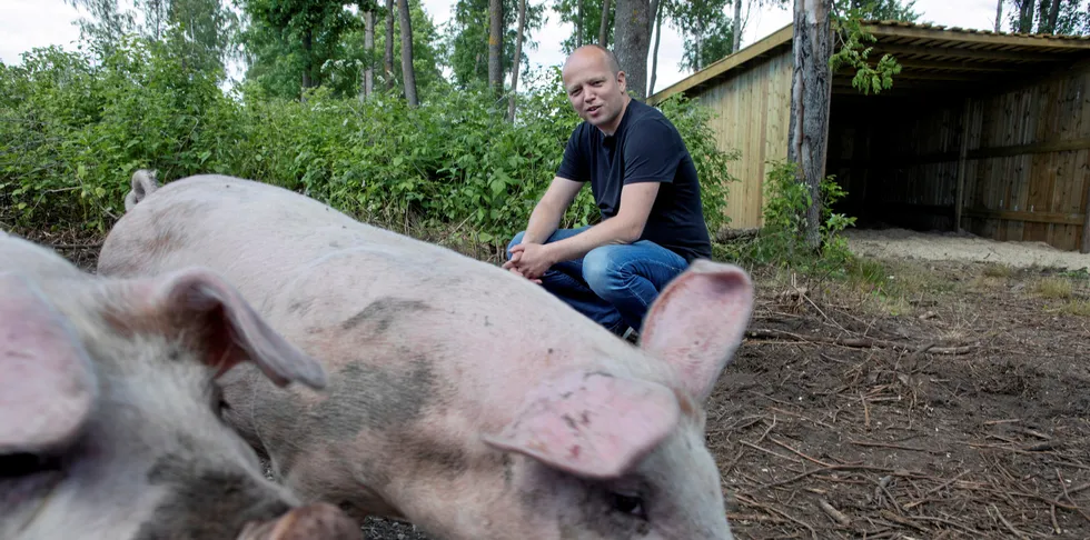 Bonden Trygve Slagsvold Vedum som leder Senterpartiet, stiller stadig sterkere i konkurransen om å bli Norges neste sjef.