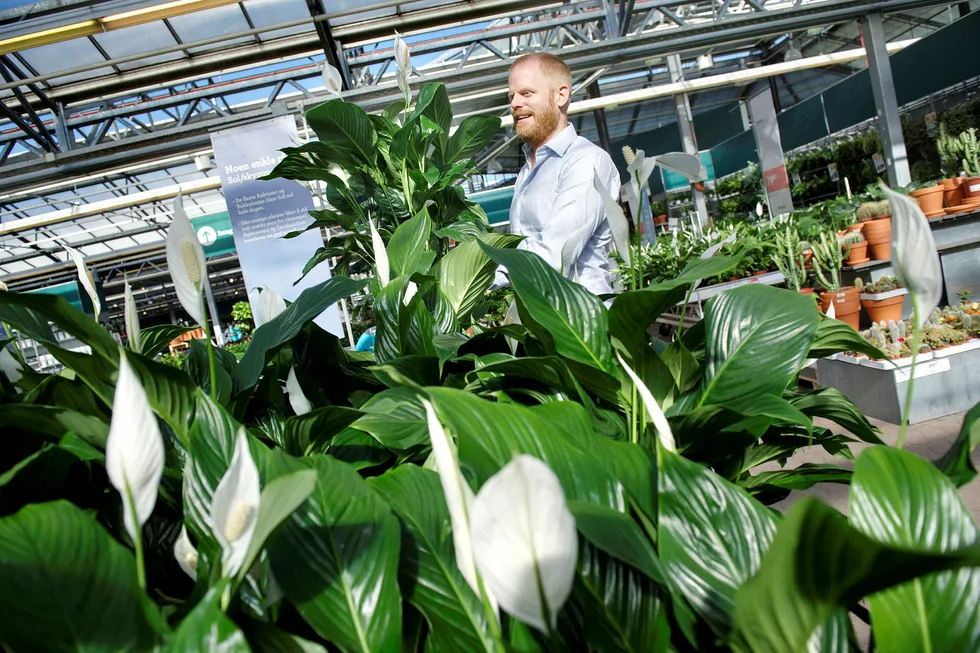 Plantasjen-sjef Jon Abrahamsson går hardt inn i det svenske blomst i butikk-markedet. Foto: Elin Høyland