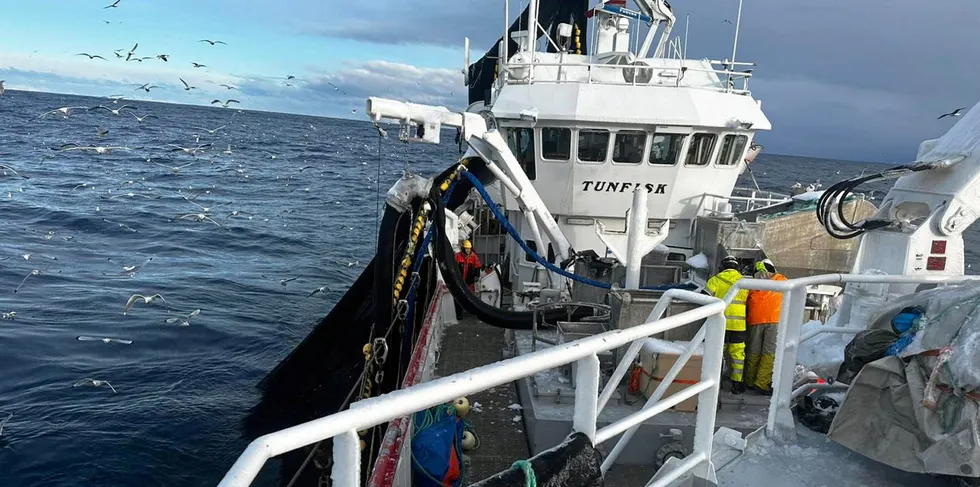 «Tunfisk» fra Vestland med et av notkastene som gjorde at det ble full klaff på et sjøvær for å ta opp kvoten på Hjelmsøybanken i Vest-Finnmark i årets sesong.