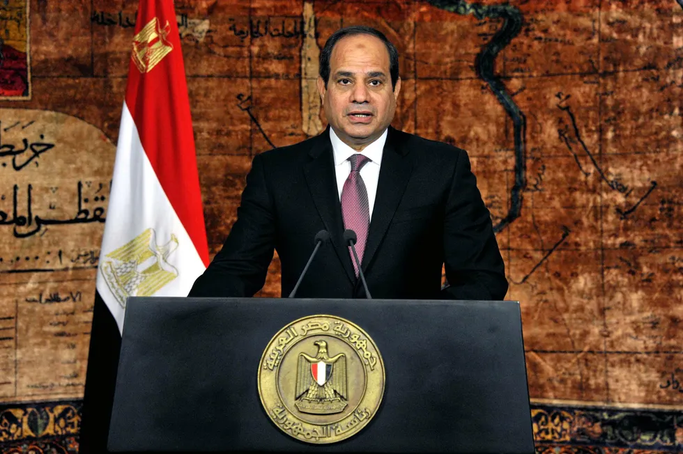. Abdel Fattah El-Sisi, president of Egypt.