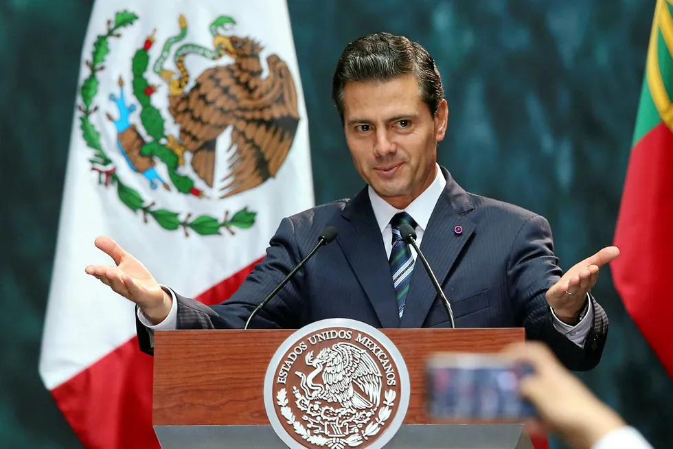 Reformer: Mexico President Enrique Pena Nieto