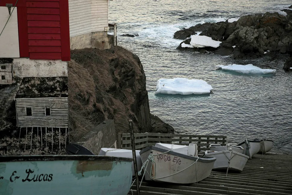 Spring flow: small icebergs float in Pouch Cove, Newfoundland