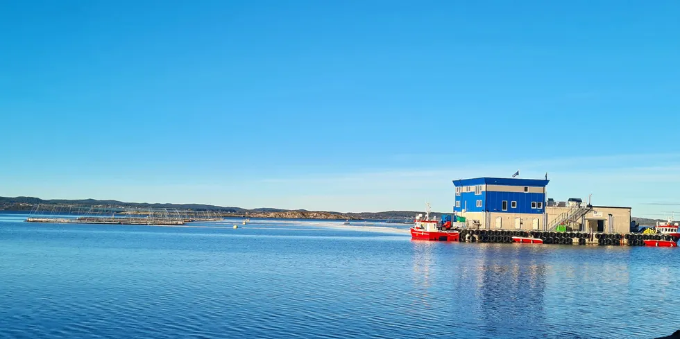 Lerøy Midt har flere lokaliteter i Trøndelag, som Storskogøya som ligger rett ved «lakseveien» på Fastlands-Hitra.