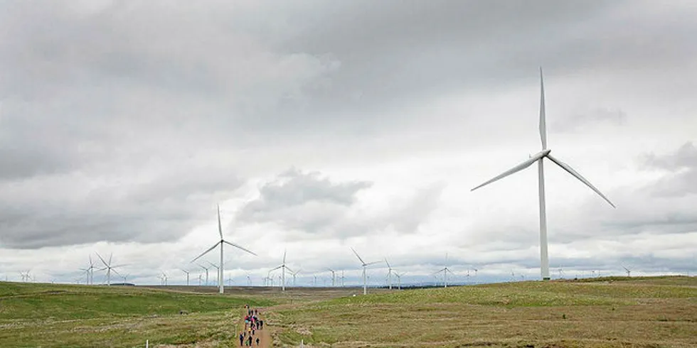 ScottishPower already operates the Whitelee wind farm in Scotland