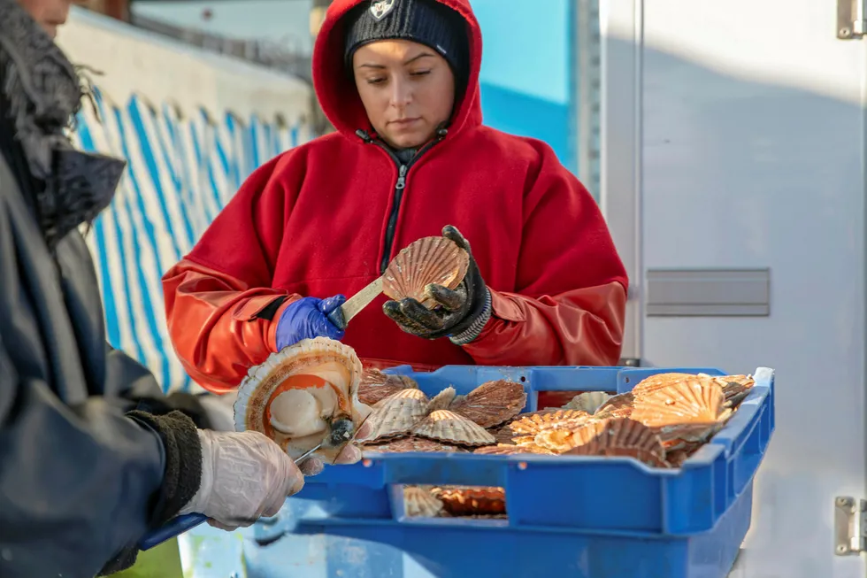 Seafood companies were able to give employees a lifeline during the worst of the COVID-19 pandemic in the spring, but with cases resurging, the need for bailout funds is becoming more dire.