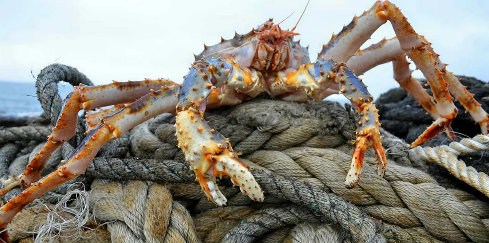 China is Russia's largest market for crab.