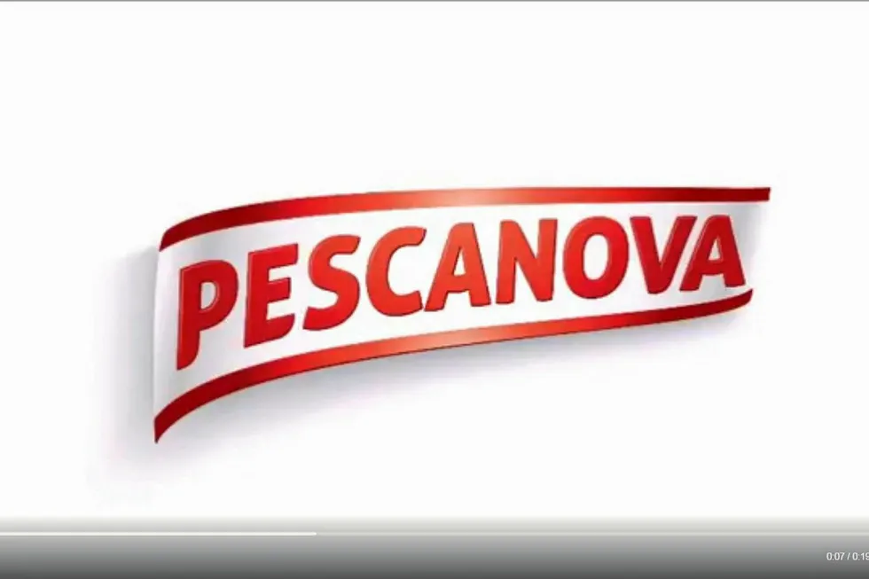 Court investigates former Pescanova exec's family