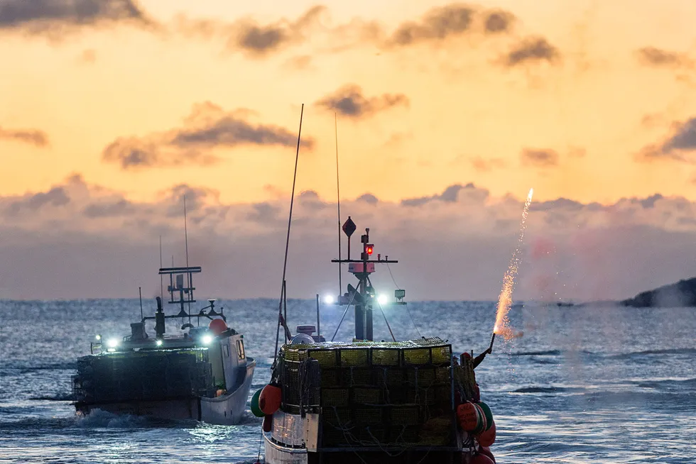 At sea: a lobster fisherman sets off fireworks as boats head from West Dover, Nova Scotia