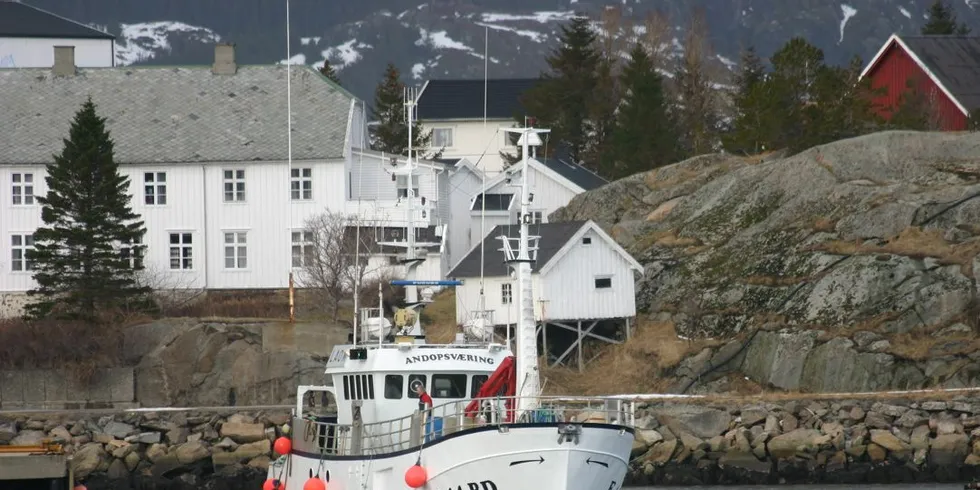 Andopsværing på vei inn til Ballstad. Arkivfoto