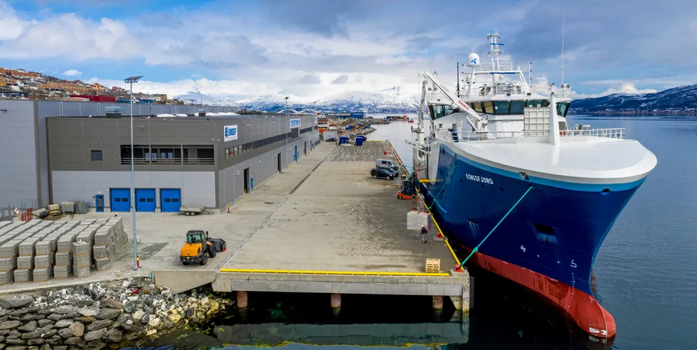 Tromsøterminalen er største landingssted for fisk med 165.000 tonn rund vekt fisk i 2021.