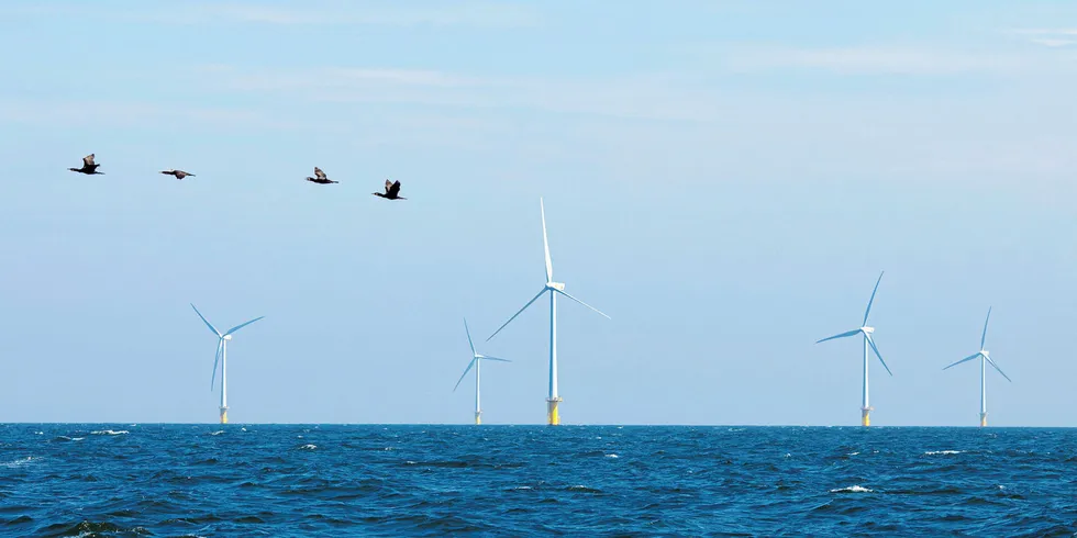 Wind turbines at the existing Egmond aan Zee wind farm