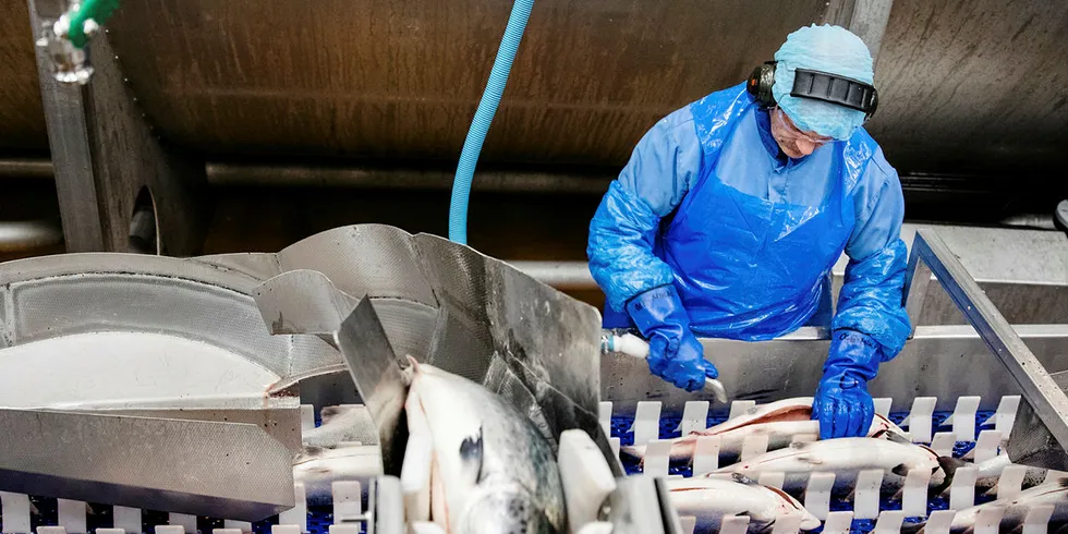 Den franske supermarkedsgiganten Carrefour har invitert norske Lerøy til å slå sammen selskapenes blokkjedeløsning. Her fra Lerøy Aurora sitt store slakteri på Skjervøy.