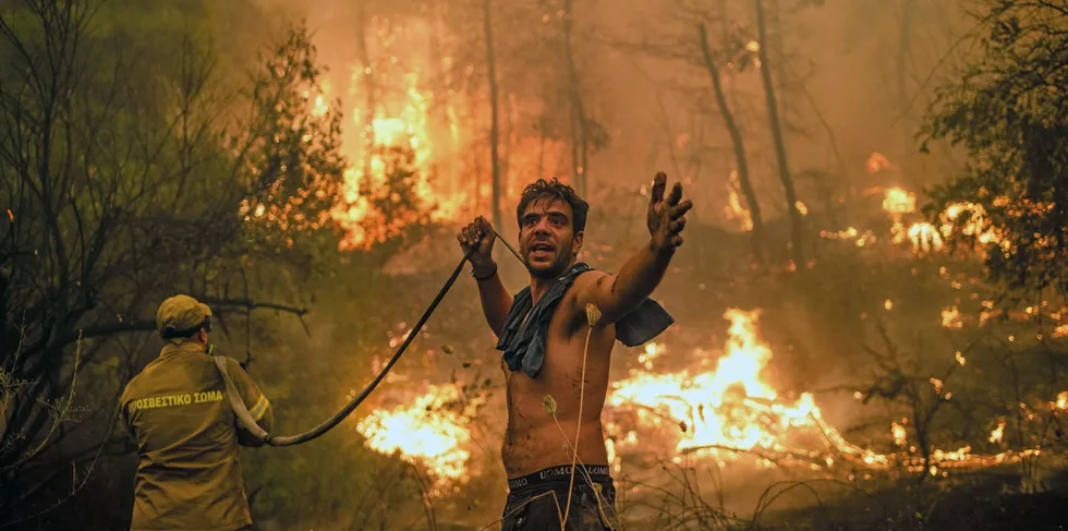 A resident attempts to extinguish forest fires in Greece.