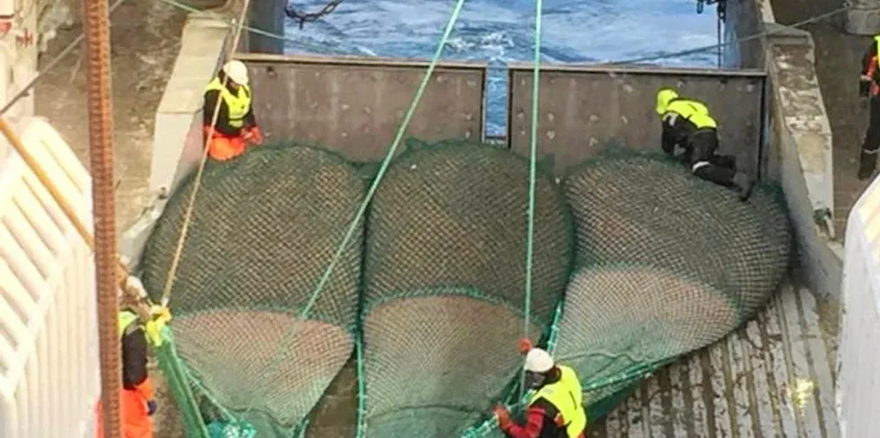 Havfisks tråler «Nordtind» på rekefiske i Barentshavet.