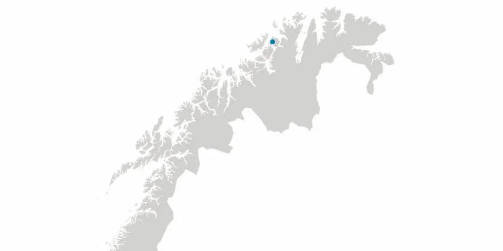 4-5 laks smittet med Infeksiøs lakseanemi (ILA) rømte fra Cermaqs slakteri i Rypefjord utenfor Hammerfest i slutten av juni. Én er siden tatt i gjenfangst.