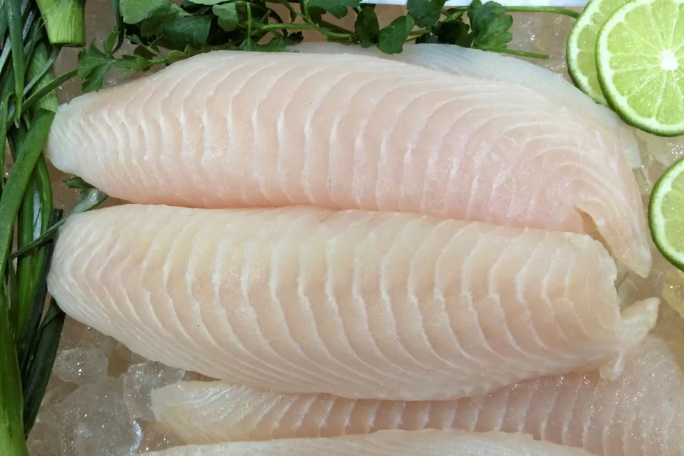 US tilapia imports continue their downward spiral.