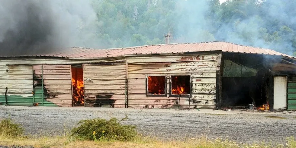 Væpnede personer angrep og tente fyr på et smoltanlegg eid av Cermaq nær Temuco i Chile den 28. januar. Angriperne la igjen en beskjed hvor de hevdet at angrepet var utført av en militant rettighetsgruppe for urfolk. Politiet har ikke bekreftet at gruppen er ansvarlig for angrepene. Selskapet Salmones Yandra leide anlegget på tidspunktet for angrepet