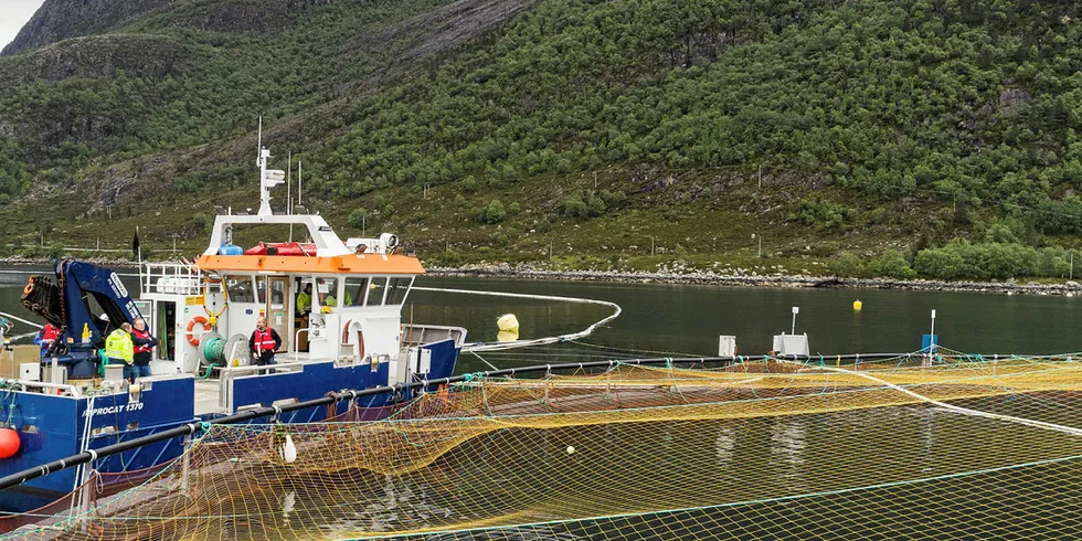 Luseskjørt kombinert med tilførsel av oksygen er testet på Mowi sitt oppdrettsanlegg på Gulestø i Sogn og Fjordane.