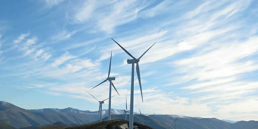 Wind has proved to be a quick learner on cost reduction. Pic: Iberdrola