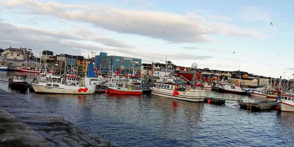 HAVRESSURSLOVEN: Formålet med loven er å sikre en bærekraftig og samfunnsøkonomisk lønnsom forvaltning av de viltlevende fiskeriressursene og medvirke til å sikre sysselsetting og bosetning i kystsamfunnene.Foto: Suphaphon Størksen