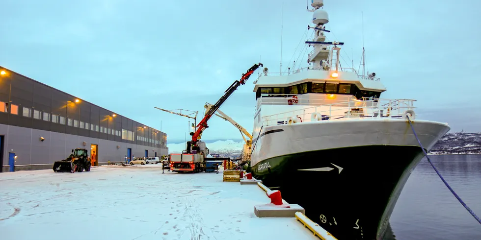 Havfiskeflåten har sørget for omsetningsrekorder hos Norges Råfisklag de siste ukene. Her Nergård-tråleren «J. Bergvoll» inne til lossing i Tromsø ved en tidligere anledning. Frysetråleren er sist registrert med en landing på 116 tonn ved Tromsøterminalen 17. desember.