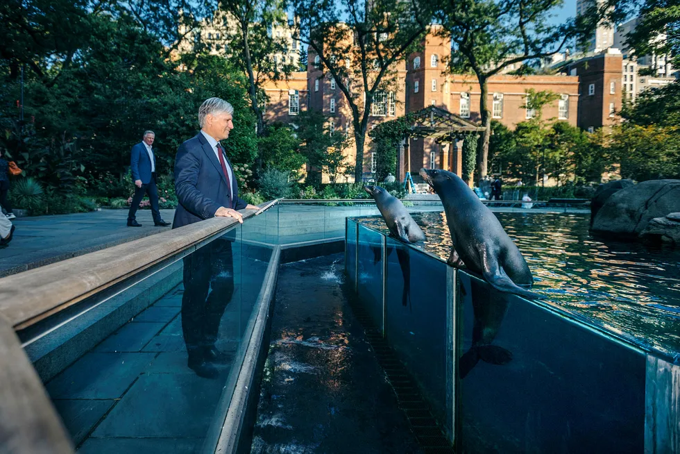 Klima- og miljøminister Ola Elvestuen fant tonen med sjøløvene i Central Park Zoo i New York.