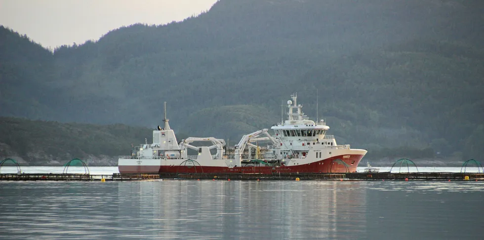 Arkivfoto av brønnbåten «Namsos», som tilhører Norsk Fisketransport (NFT). Her ved Salmonors lokalitet Tærnskjæret i Nærøy kommune i Nord-Trøndelag