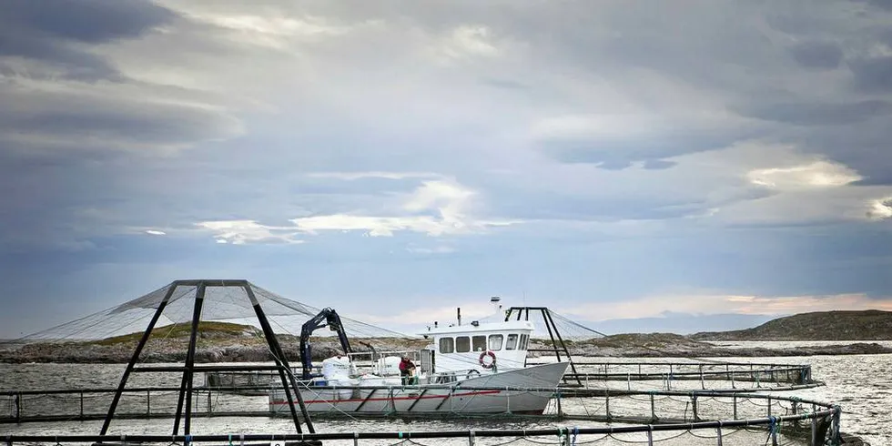 TJENER BRA: God inntjening i oppdrett og fiskeri gjør debatten om ekstra skattlegging aktuell. Bildet er Erviks Laks Og Ørret as på Frøya. Foto: Ole Morten Melgård/DN