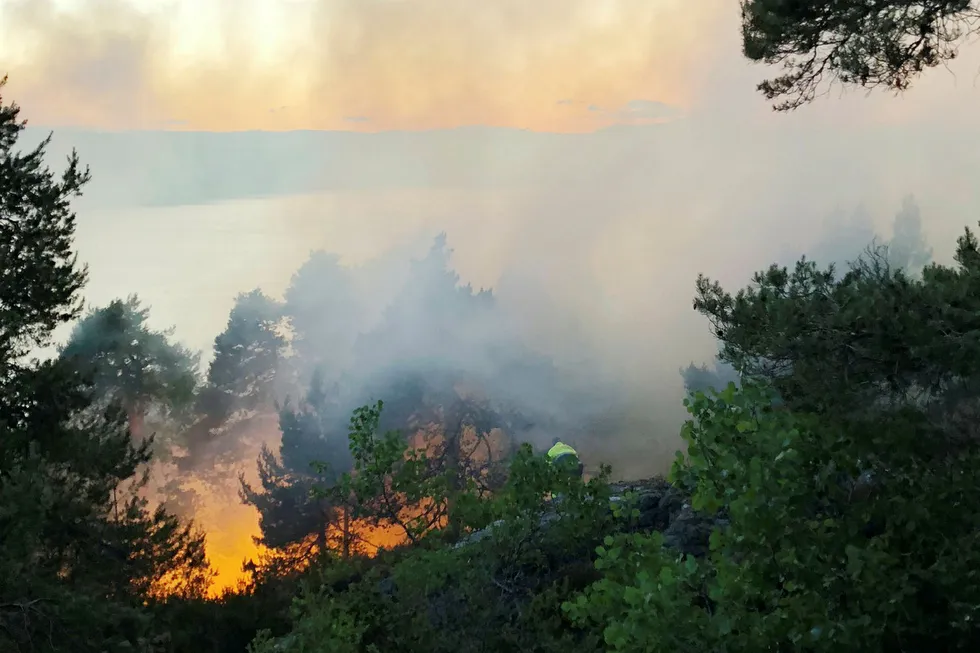 Tørken har resultert i mange skogbranner i Norge hittil i år. Tor Aage Hansen / NTB scanpix