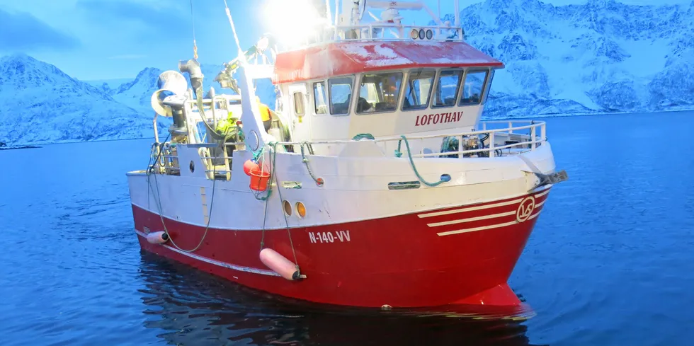 Den Leknes-registrerte snurrevadbåten «Lofothav» på 14,99 meter er her på vei inn til kai for å levere torsk tatt på Breivikfjorden. Til neste år kan det bli endringer i torskereguleringene for både Breivikfjorden og Vest-Finnmark.