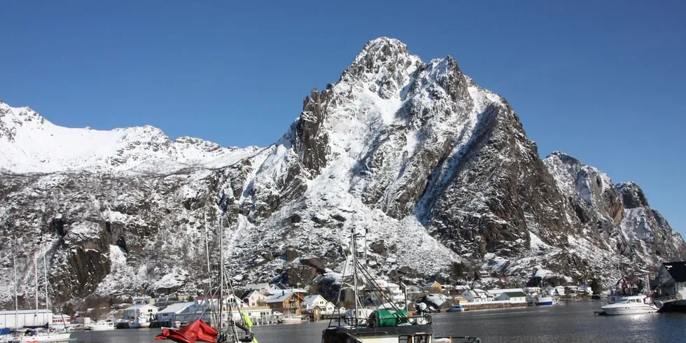 Bomskudd i Bodø