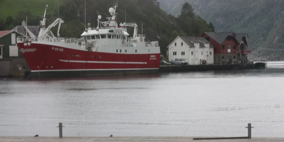 Bøen Jr hadde et godt fjorår.