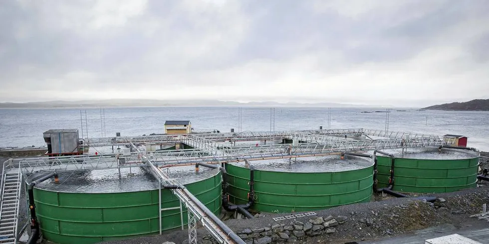 LANDBASERT: Veksten i norsk oppdrettsnæring må skje på land, mener Arne Luther. Foto: Ole Morten Melgv•rd