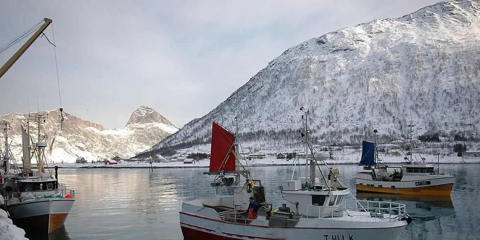 RETT I SJARKEN: Ny teknologi gjør det mulig å samle flere typer informasjon og gjøre dem tilgjengelig for alle på havet. Arkivfoto: Gunnar Sætra