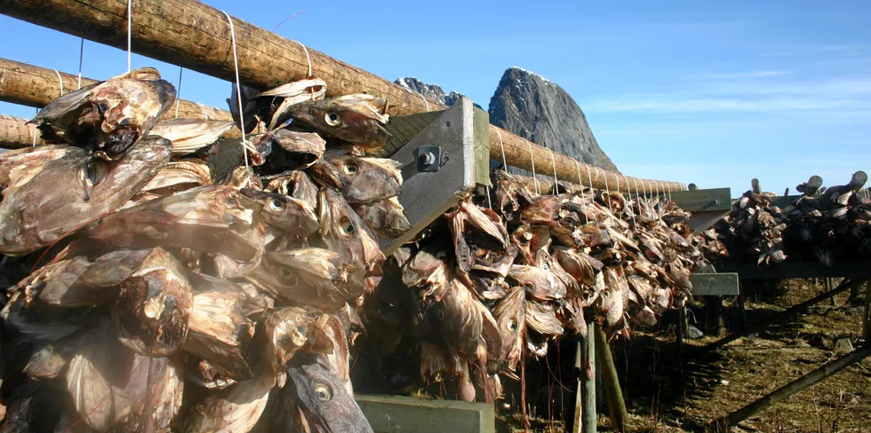 Det jobbes for å utnytte mest mulig av fisken. Kronikkforfatterne mener landene rundt Nord-Atlanteren kan ha nytte av å bygge et felles varemerke for bærekraftig utnyttelse av marine produkter.