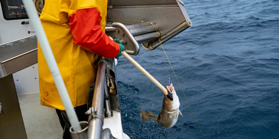 Linefiske med Jens-Einar Bjørkås Johnsen på båten "Bjørkåsbuen" i Båtsfjord.