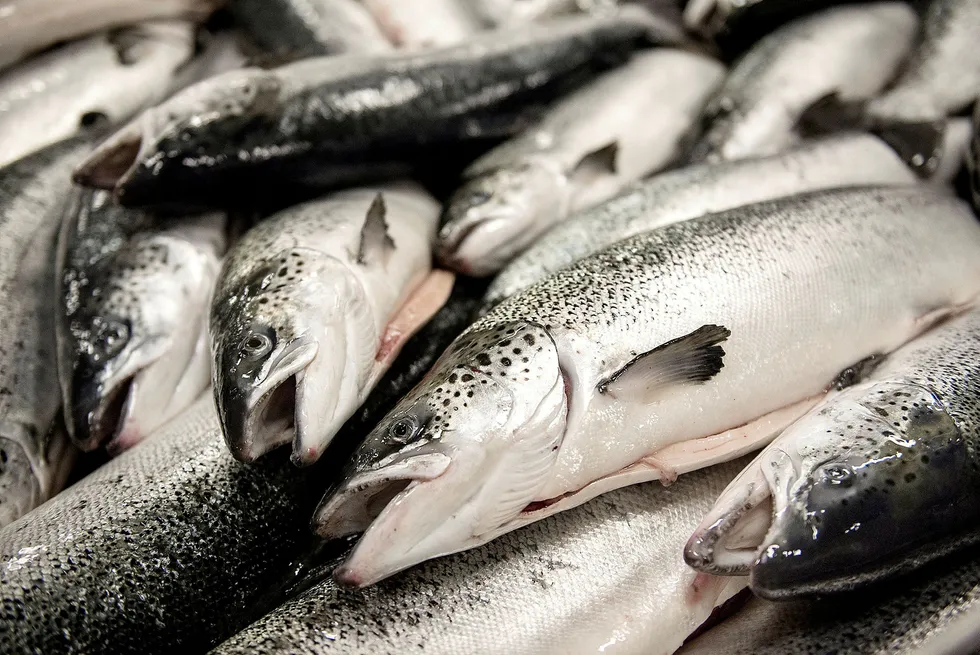 I midten av september hadde Fiskeridirektoratet mottatt 33 rapporter om rømningshendelser fra oppdrettere på om lag 280.000 laks og 2.000 regnbueørret.