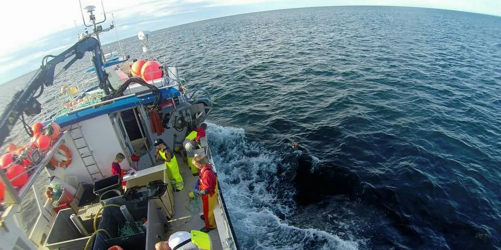 Bildet viser tarehøsting med leiefartøyet «Heidi» ved Brønnøysund.Foto: Havforskningsinstituttet