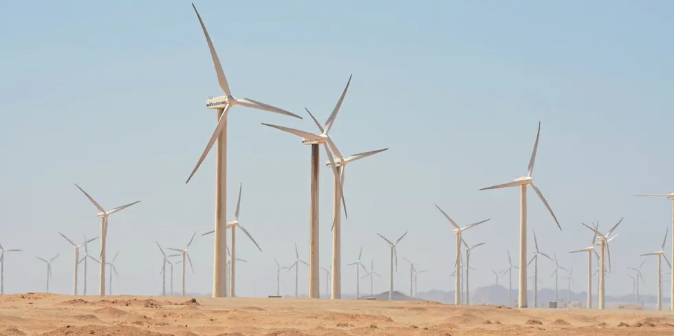 Vestas turbines at Egypt's pioneering 544MW Zafarana wind farm