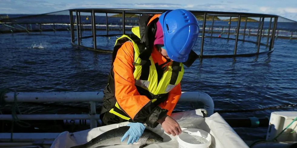 Vesterålen Fiskehelstetjeneste skal fortsette som før når Åkerblå blir nye eiere.