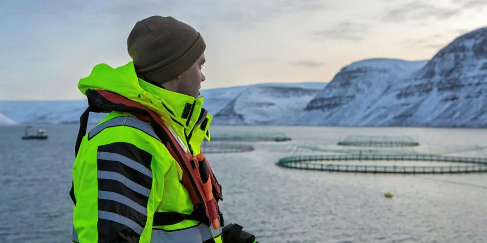 The Icelandic salmon farming sector has been growing in past years.