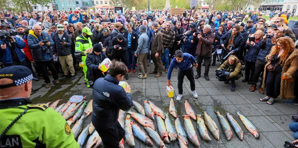 Protesten i Reykjavik ble organisert av syv miljøorganisasjoner.