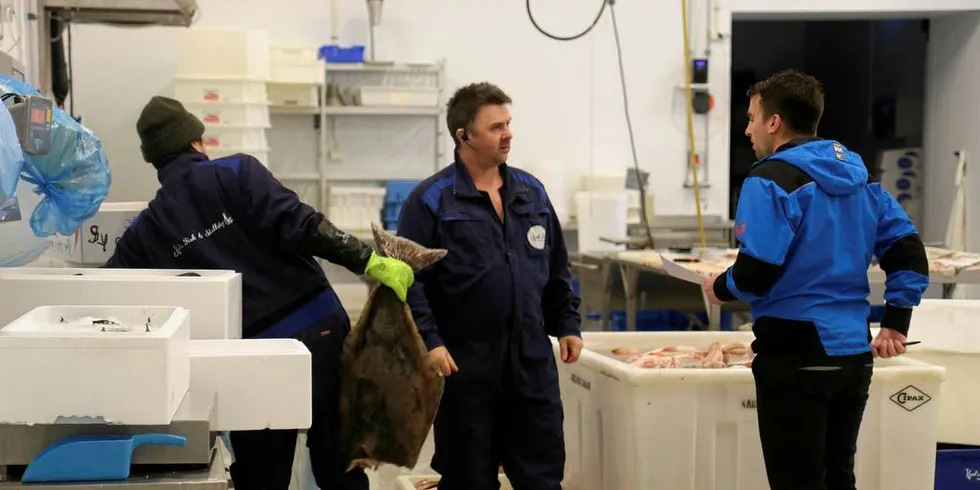 Karl Alberth Hansen (i midten) hos Karls Fisk og Skalldyr.Foto: Jørn Mikael Hagen