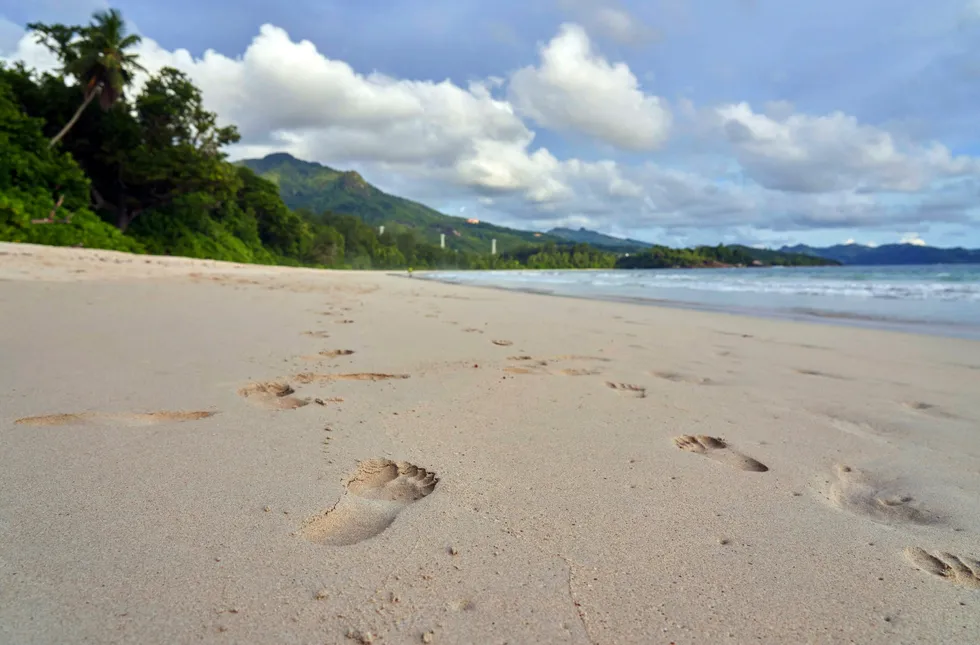 On the hunt: footprints in the sand on a beach on Mahe Island, Seychelles