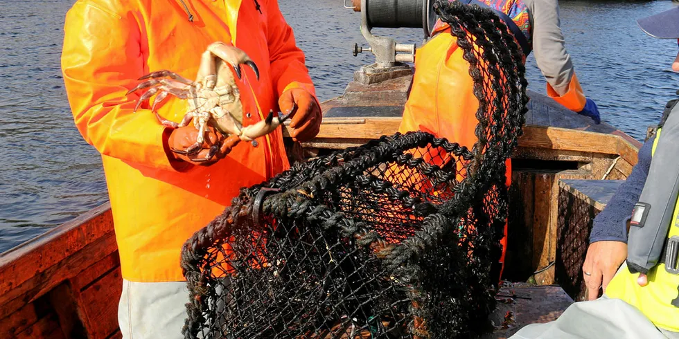 STILLER OPP: På Hidra har Hitterøy kystlag stilt opp mannsterke for å delta på prøvefisket i hummerreservatet.