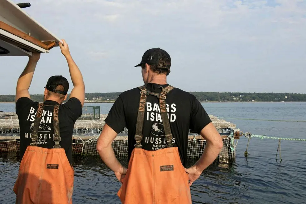 Bangs Island is owned by father and son team Gary and Matt Moretti, who have operated the company on Portland's working waterfront for nine years.