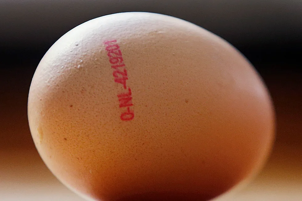 Belgia hevder at Nederland har visst om eggskandalen i ni måneder uten å varsle. Foto: Michael Probst/AP/NTB scanpix