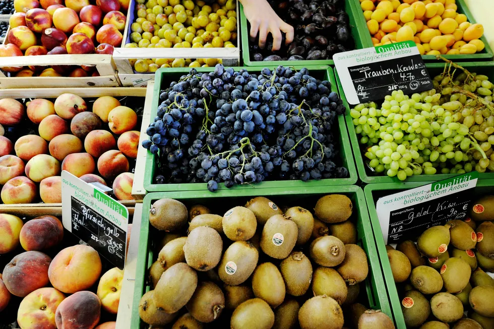 Prisene på frukt har økt med 15,2 prosent det siste året. Foto: Frank May, NTB Scanpix