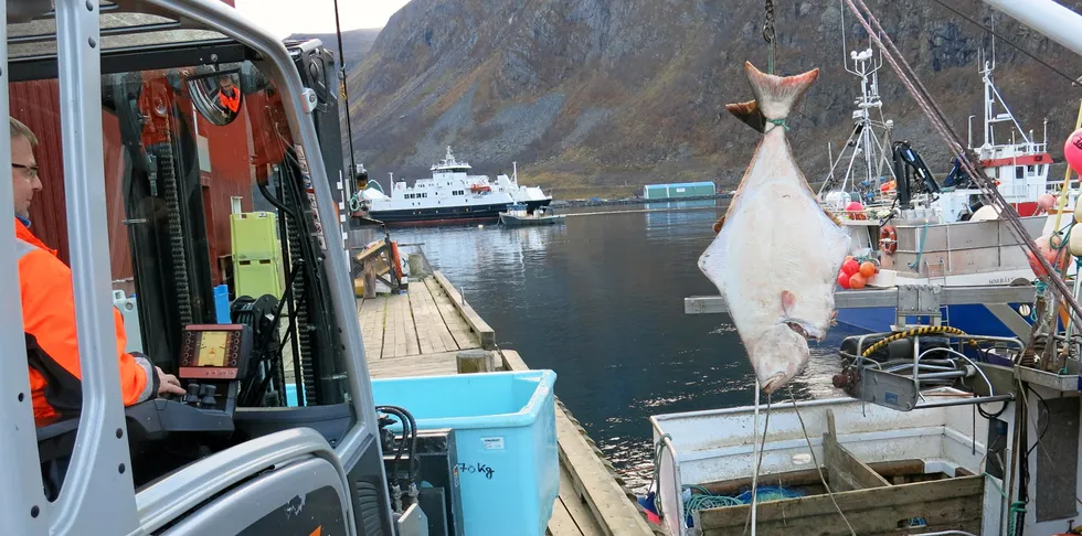 Årets første kveiter er for lengst landet hos Øksfjord Fiskeindustri, og bedriften satser på å beholde sin ledende posisjon i dette fisket.