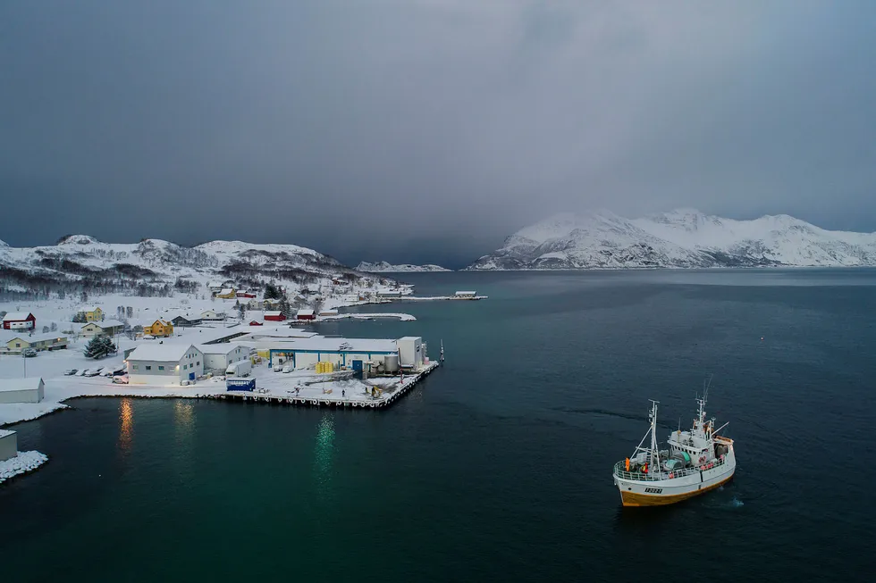 Norsk fiskehverdag kommer til å forandre seg etter brexit. Her er fiskebåten «Mjosund» inne hos Lerøy Norway Seafood i Tromvik for å levere skrei.